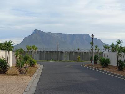 House For Rent in Tijgerhof, Milnerton